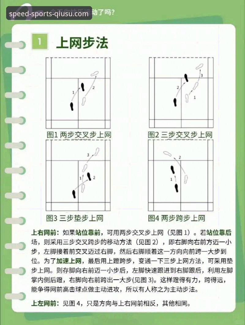 球速体育安装教程：官方版 vs 第三方渠道，哪条路更稳妥？