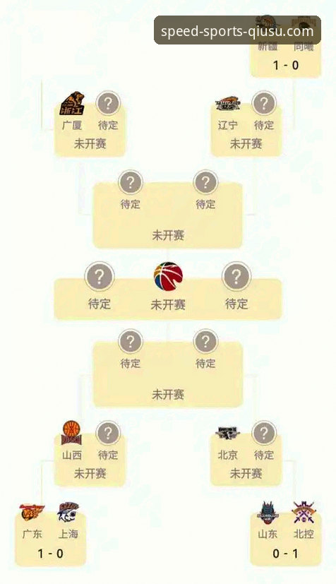 上海男篮十二连胜背后的战术执行力深度评测：一次沉浸式观赛体验的启示