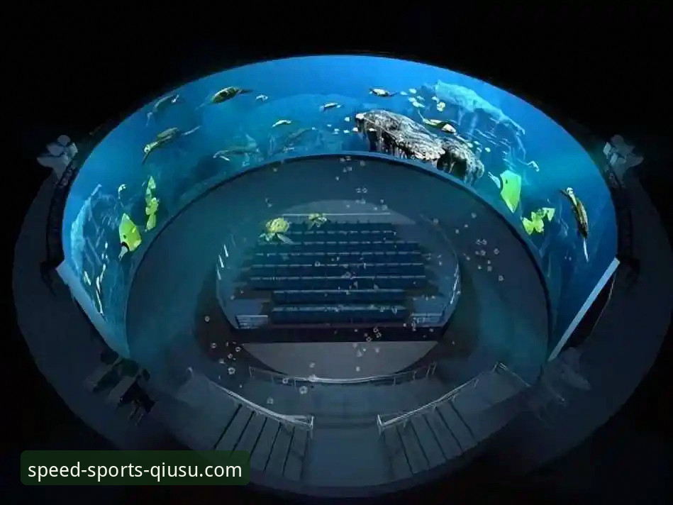 球速体育平台核心功能详解：从观看到互动的沉浸式革新